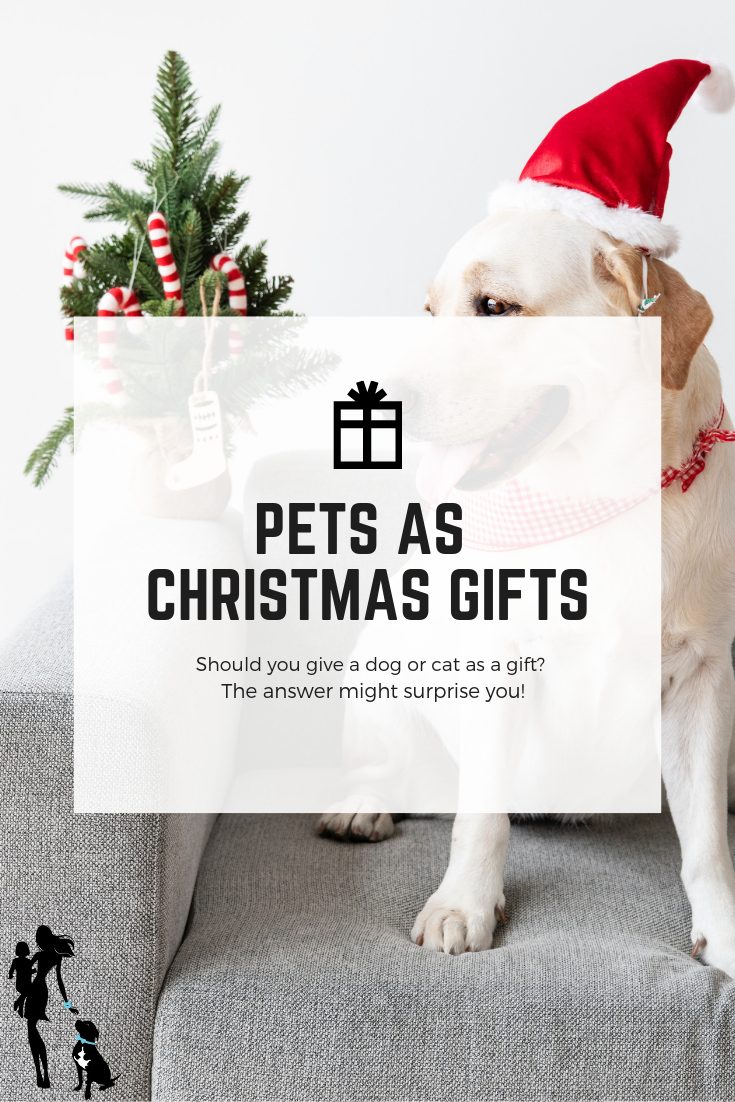 Pets for Christmas: Should you reward a canine or a cat?