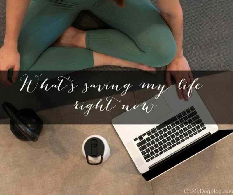 A woman in green pants sits cross-legged on a gray yoga mat. She has a laptop, a water bottle, and a kettle ball nearby. 